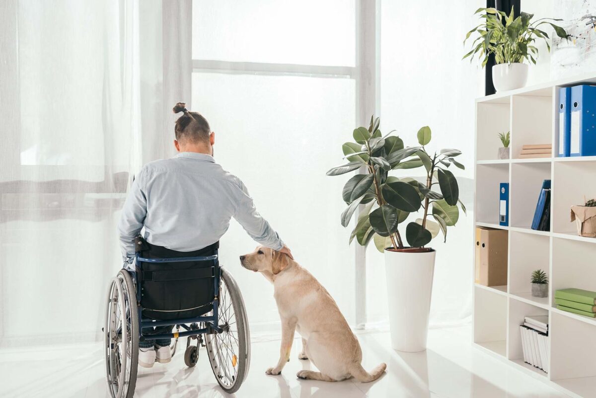 Specialised Disability Accommodation (SDA)